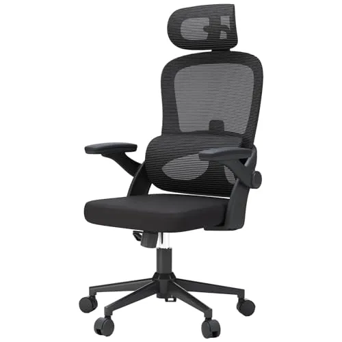 SIHOO M102C - Cadeira Ergonómica de Escritório com Apoio Lombar Ajustável